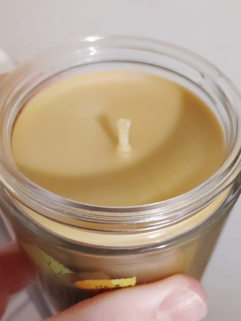 New Fresh Rare Bath & Body Works Pumpkin Peanut Brittle Single Wick Mason Candle